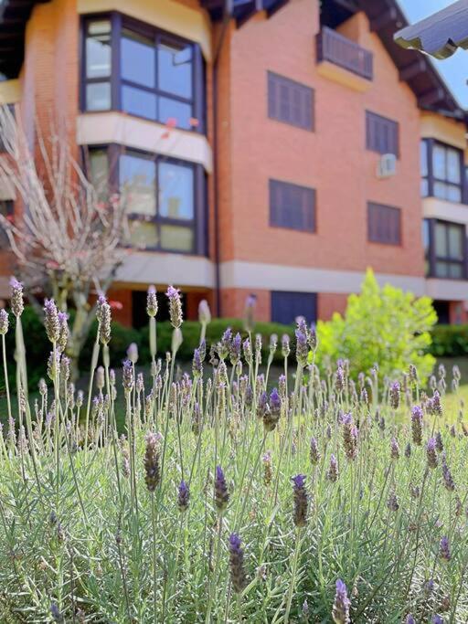 Aconchegante Apto 3 Dorm. Com Piscina Aquecida Gramado Eksteriør bilde